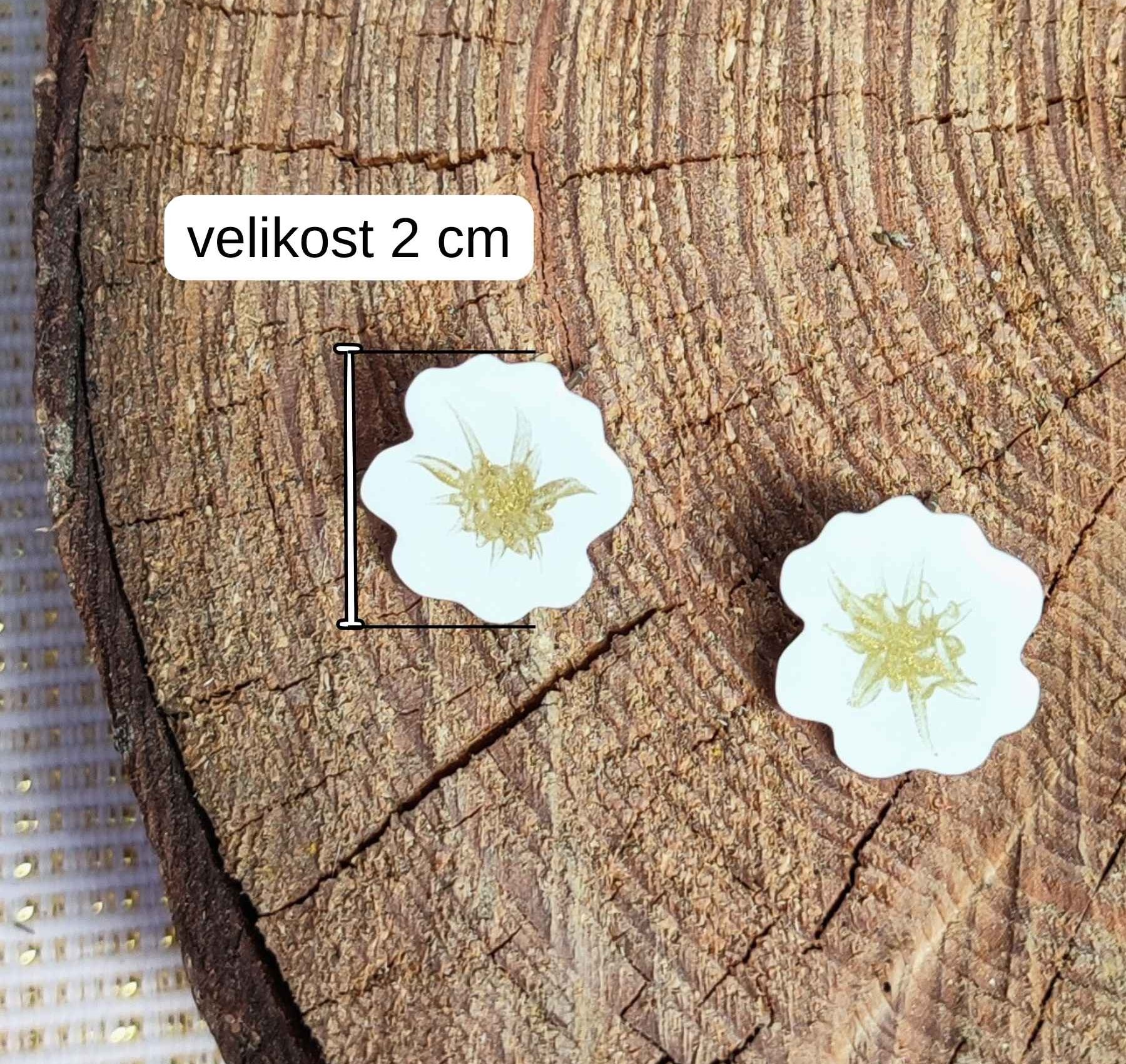 Velikost napichovací náušnice daisy je 2 cm.